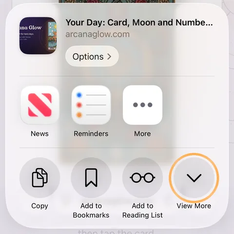 The share sheet with the View More button circled